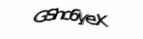 Security check image, please type the characters shown